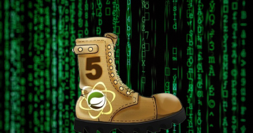 Fallboot